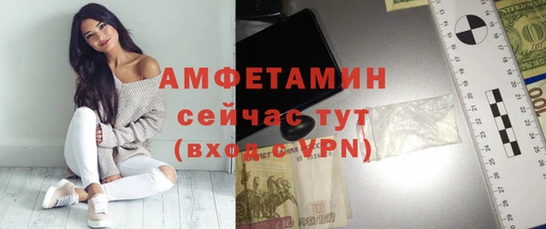 мдпв Пестово