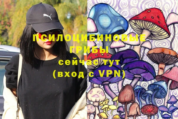 мдпв Пестово