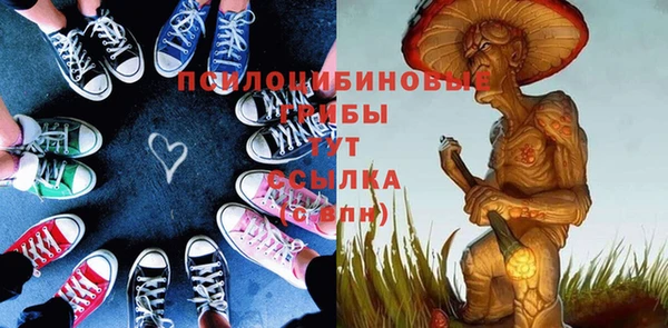 мдпв Пестово