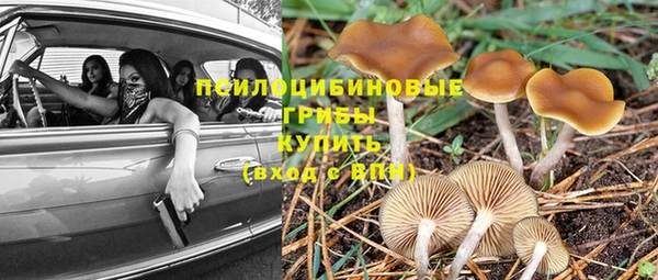 первитин Пересвет