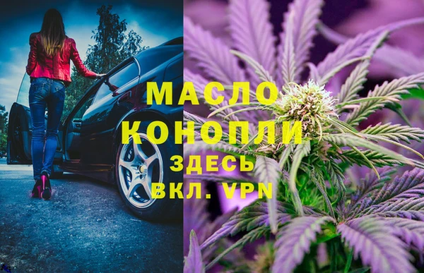мдпв Пестово