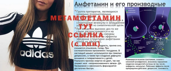 мдпв Пестово