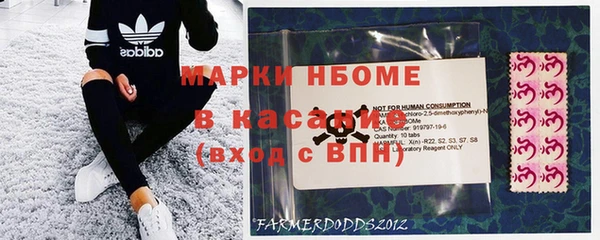 мдпв Пестово